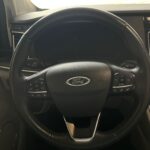 TOURNEO-CUSTOM-2.0-ECOBLUE-HYBRID-185CV-21